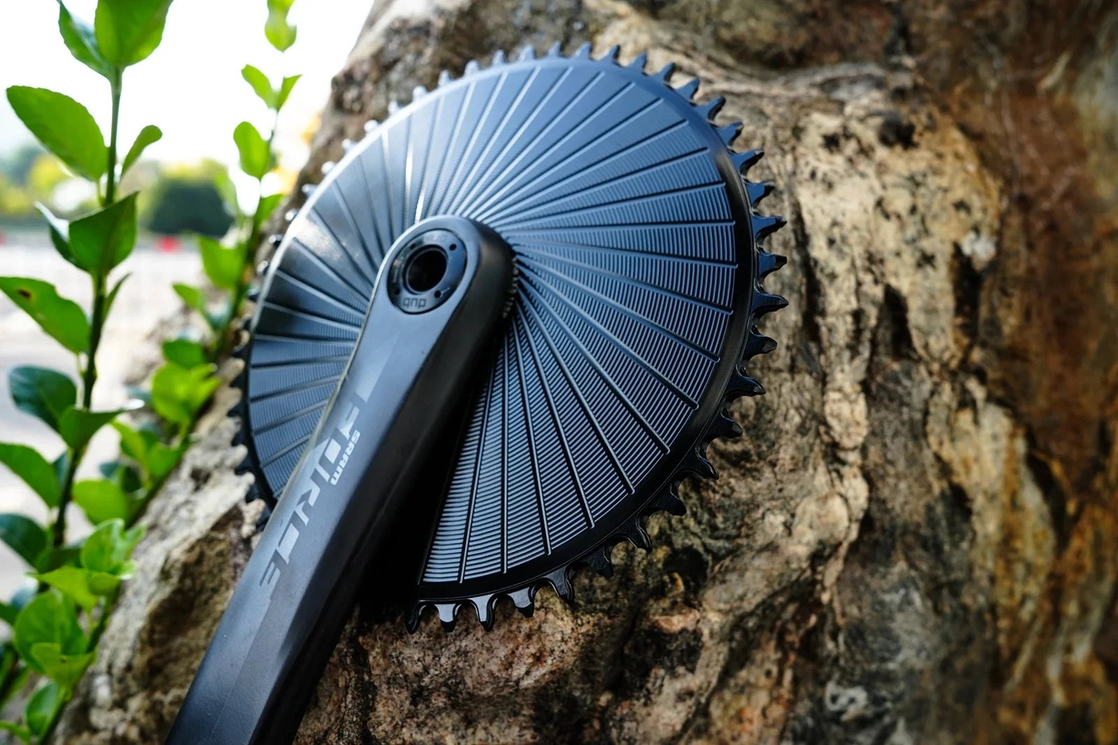 Plateau Stone Aero noir monté sur une manivelle SRAM Force AXS, appuyé contre une roche en extérieur avec des feuilles vertes, vue en plongée.
